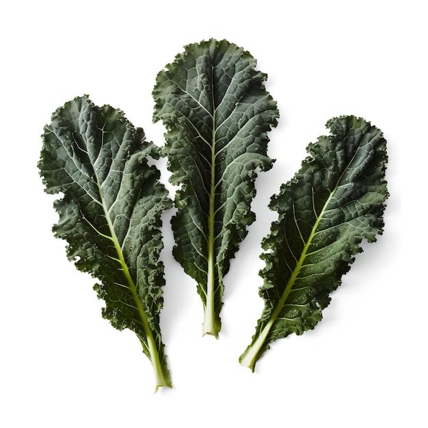 Three green kale leaves are arranged on a white background.