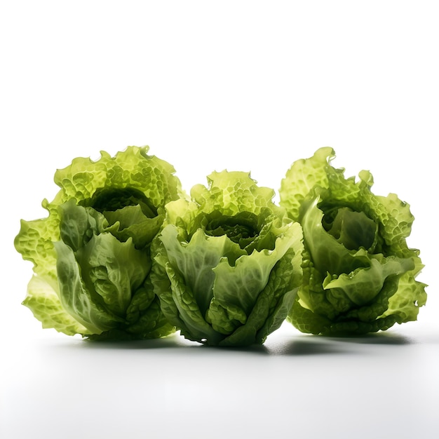 Three green lettuce