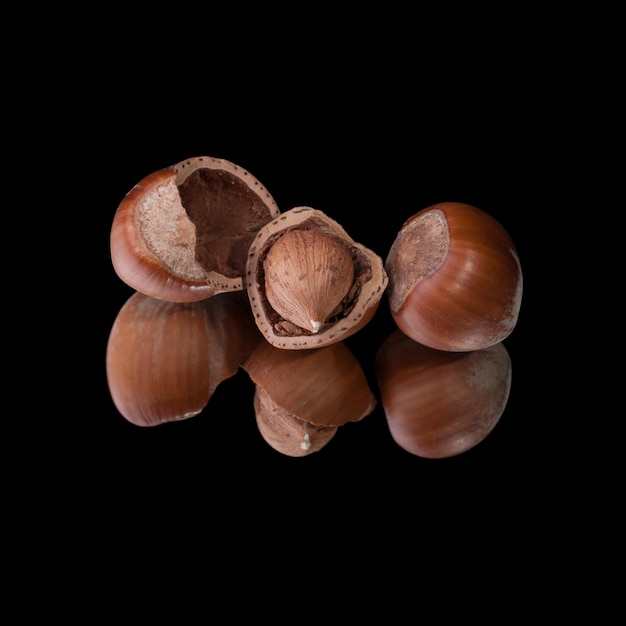 Three hazelnuts one nut in whole shell and two in in cracked shells