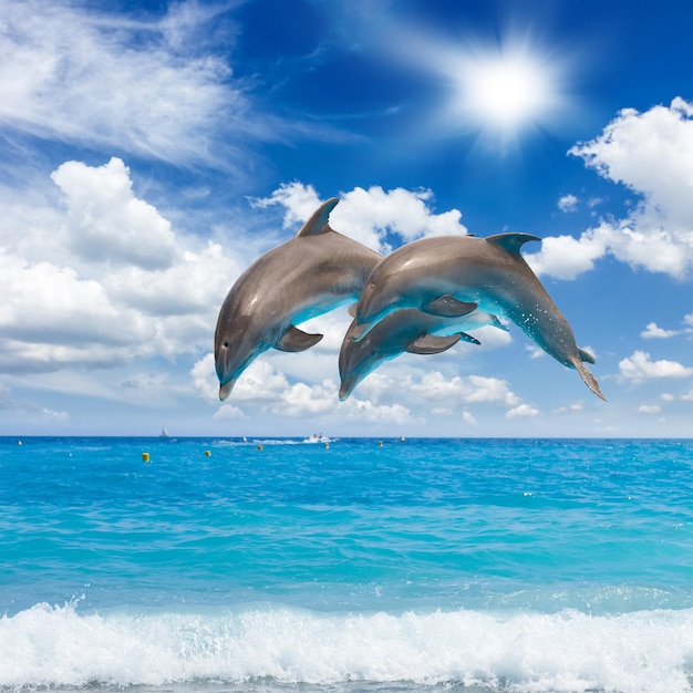 Three jumping dolphins sunny seascape with deep ocean