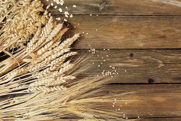 Three kinds of cereals - rye, wheat, oats on a wooden background, place for text