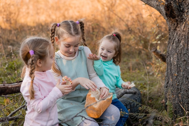 Three little girls have a picnic in the autumn forest and are eating bread children walk outdoors