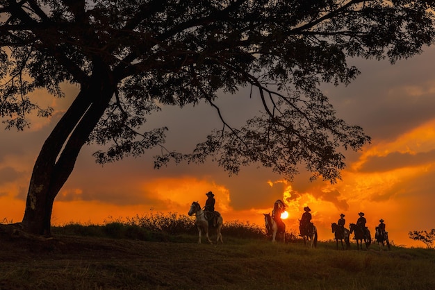 Three men dressed in cowboy garb with horses and guns A cowboy riding a horse in the sunset is silhouetted in black