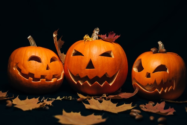 Three orange pumpkin with maple leaves and acorns for Halloween autumn holiday decor