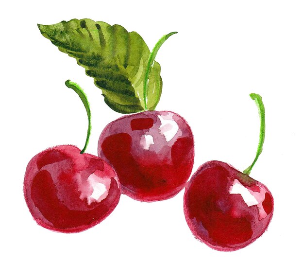 Three red cherries and green leaf. Watercolor painting