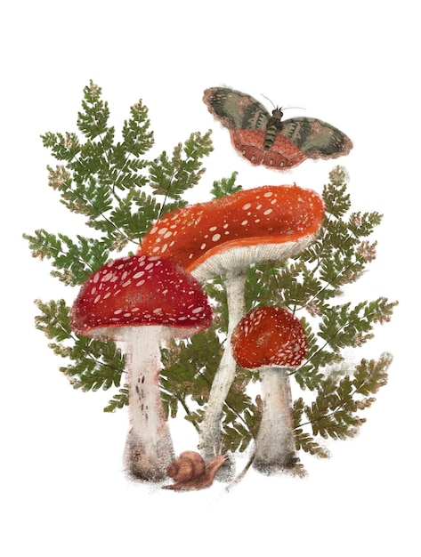 Three red fly agarics ferns a butterfly and a snail Forest illustration on white background