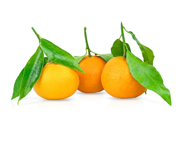 Three ripe tangerines with leaves isolated on a white background