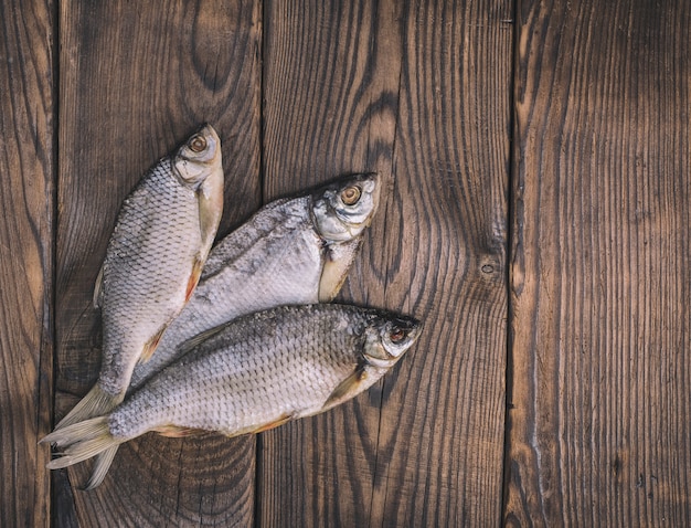 Three roach fish with scales 