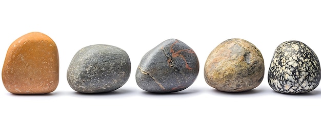 three rocks with a white background with a black one that says quot lichen quot