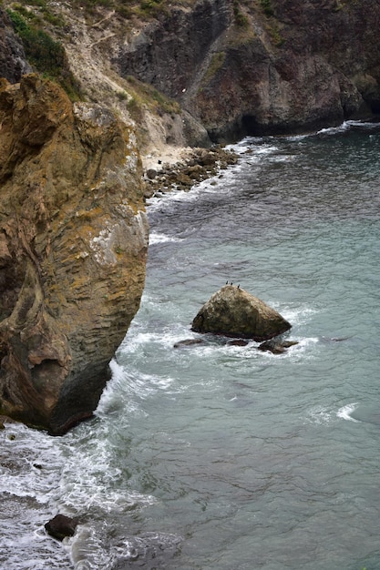 Three seabirds all sit on a stone in the sea during a storm in cloudy weather among the rocks