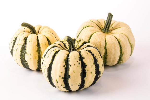 Three striped decorative pumpkins on a light background