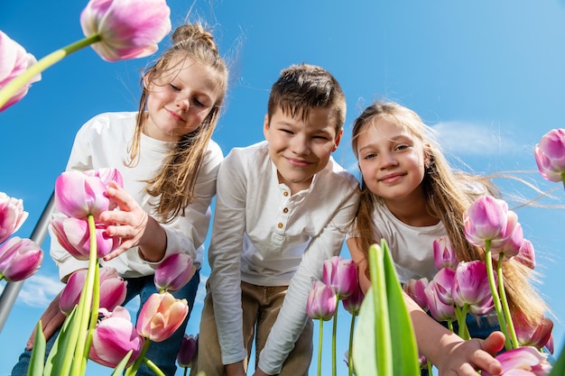 Three teenagers bend over blooming tulips against the blue sky view from below