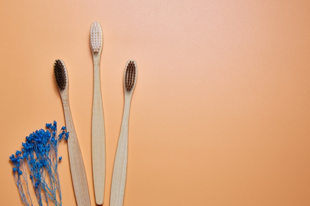 Three wooden toothbrushes background. Copy space.