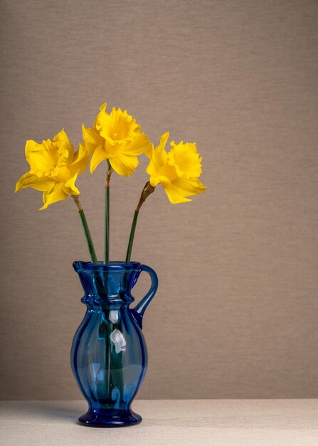 Three yellow daffodils in a blue transparent vase on a light gray background Still life