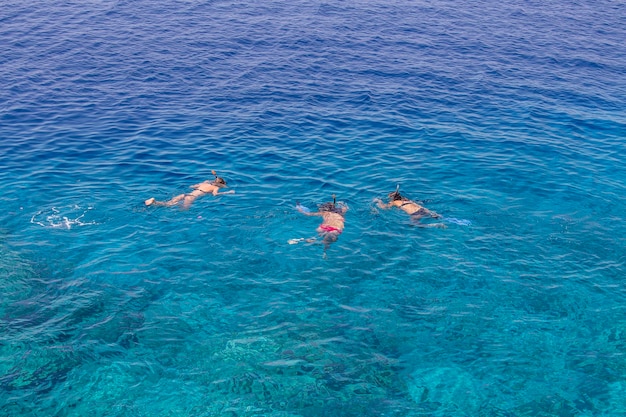 Three young girls snorkeling in blue waters above coral reef on red sea in Sharm El Sheikh Egypt People and lifestyle concept Top view