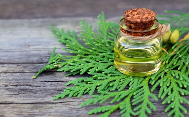 Thuja aroma essential oil in a glass jar for spa and body care on old wooden background