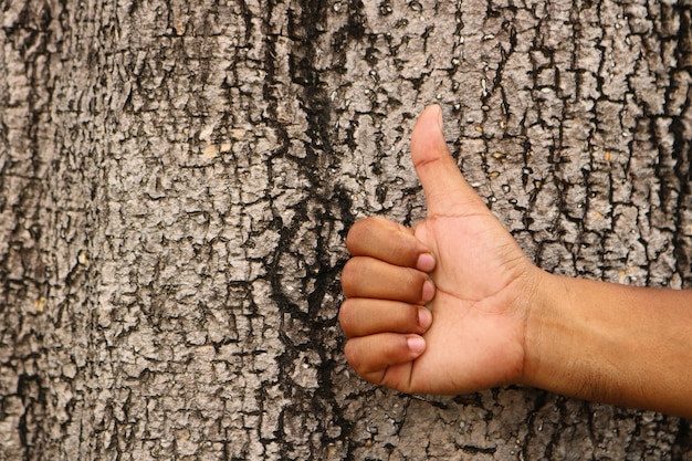 Thump up with bark background