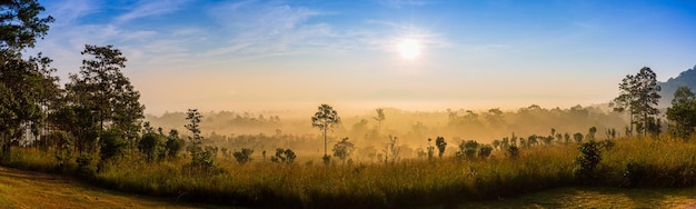 Thung Salaeng Luang National Park Beautiful green hills glowing warm sunriseDramatic shine silhouet