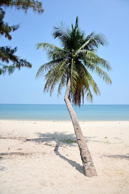 Thung Wua Laen Beach at Chumphon Thailand