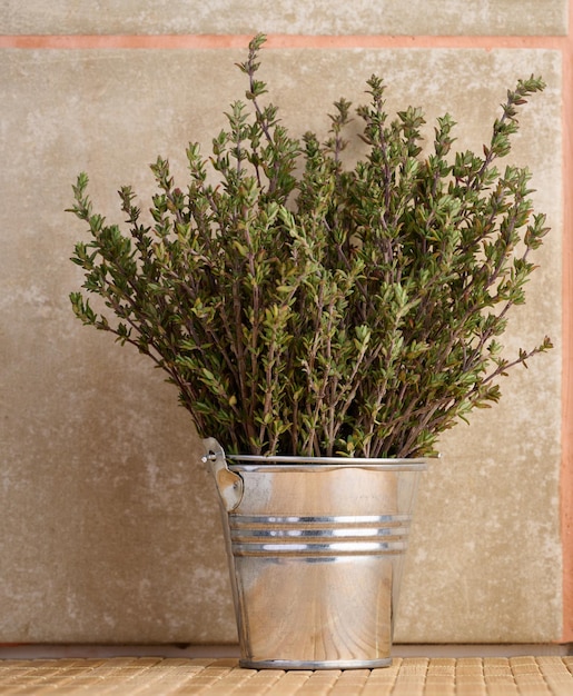 Thyme branch in a miniature metal bucket aromatic spice for cooking