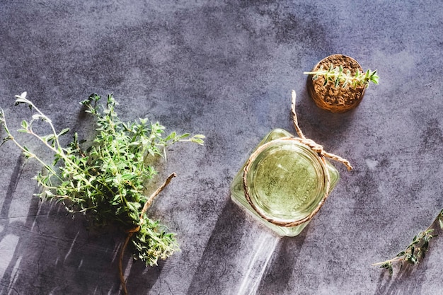 Thyme essential oil in open bottle cork and fresh Thymus plants on gray marble table flat lay