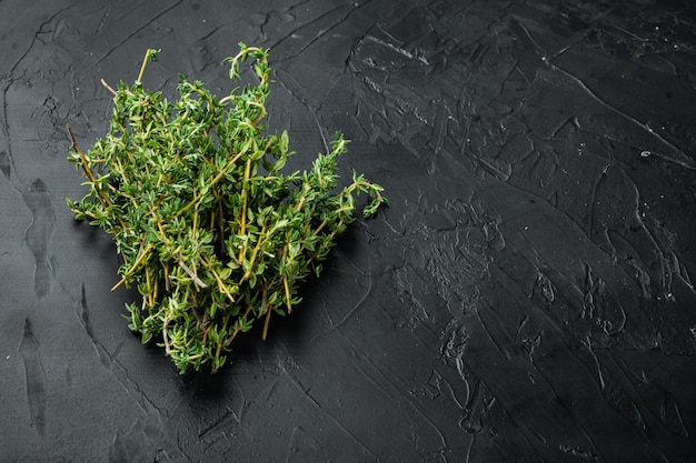 Thyme green fresh bunch, on black background with copy space for text