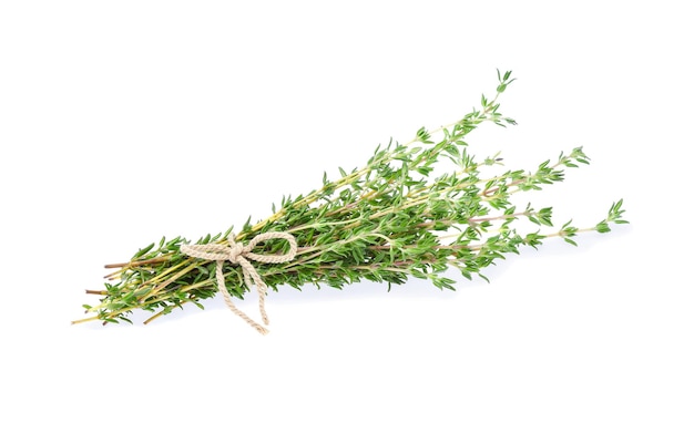 Thyme isolated on white background