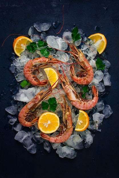 Tiger prawns boiled and frozen on ice top view closeup no people