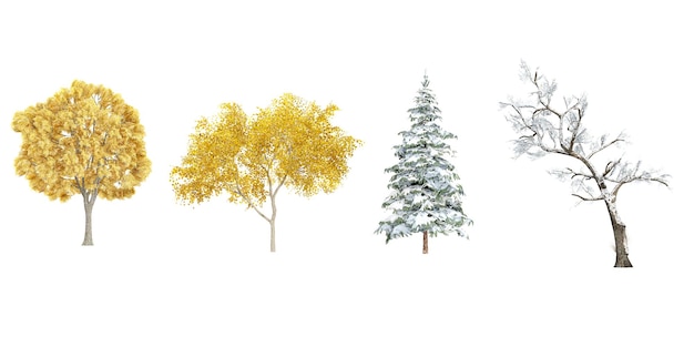 TiliaAlnusHawthornPicea Trees collection with realistic style