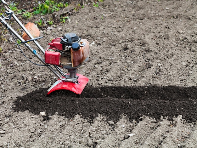 Tiller in loosened bed in field