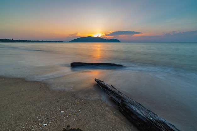 Timber in the sea wave motion or beach on the morning twilight sky