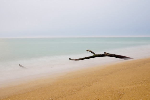 Timber Trap On The Beach