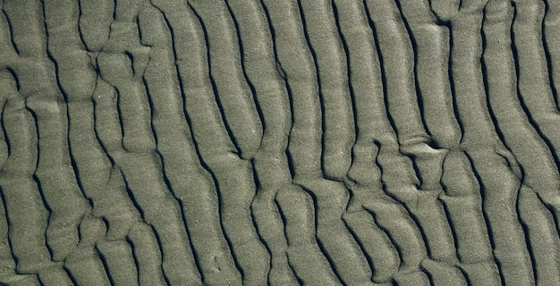 Timeless Beauty A Photo Featuring a Stunning Vintage Textured Cement Wall