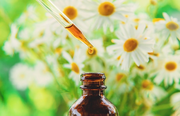 Tincture of chamomile extract in a pipette drop Selective focus