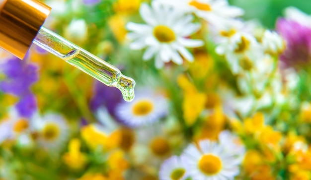 Tincture of herbal extract in a pipette drop Selective focus