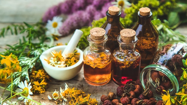 Tincture of medicinal herbs in bottles. Nature.