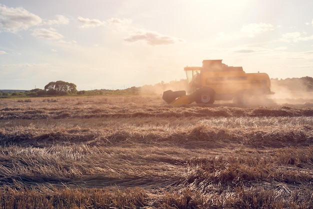 Tined photo of wheat field working combine harvester