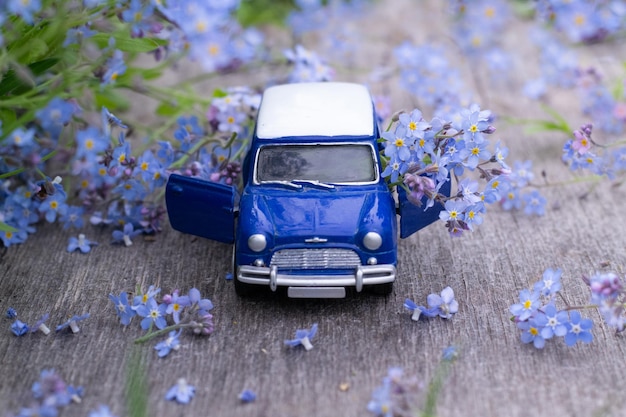 Tiny car among flowers of forgetmenot