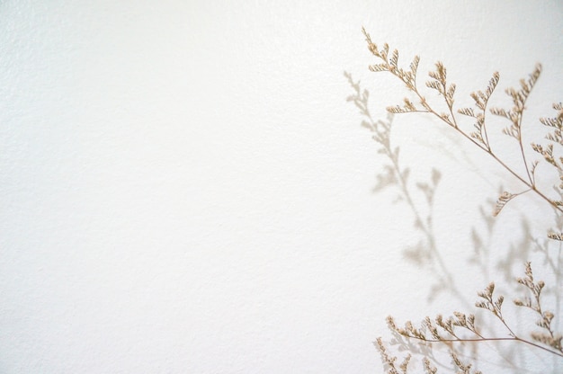 Tiny flowers drops shadow on white wall