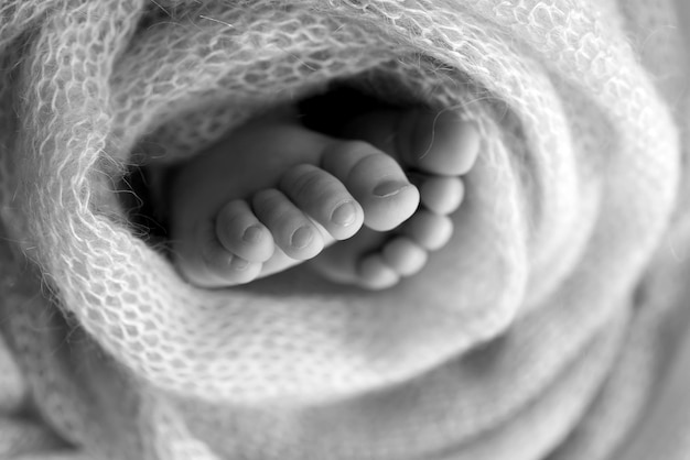 Photo the tiny foot of a newborn baby soft feet of a new born in a wool blanket close up of toes heels and feet of a newborn black and white macro photography