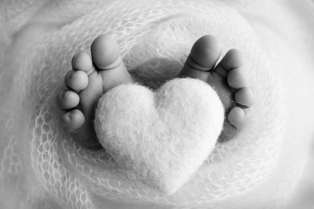 The tiny foot of a newborn baby Soft feet of a new born in a wool blanket Close up of toes heels and feet of a newborn Knitted heart in the legs of baby Macro photography Black and white