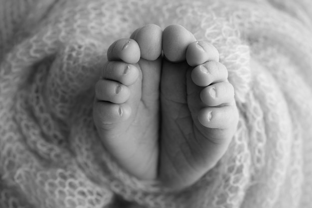 The tiny foot of a newborn Soft feet of a newborn in a pink woolen blanket Close up of toes heels and feet of a newborn baby Studio Macro photography Black and white