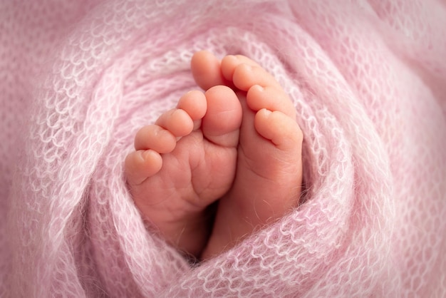 The tiny foot of a newborn. Soft feet of a newborn in a pink woolen blanket. Close up of toes, heels and feet of a newborn baby. Studio Macro photography. Woman's happiness. Concept.