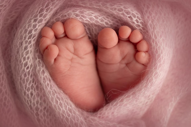 The tiny foot of a newborn. Soft feet of a newborn in a pink woolen blanket. Close up of toes, heels and feet of a newborn baby. Studio Macro photography. Woman's happiness. Concept.