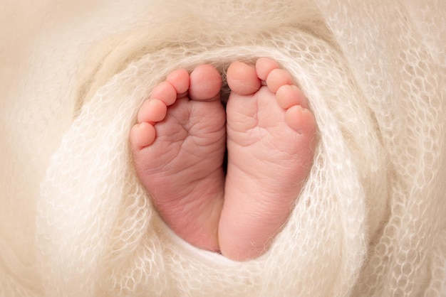 The tiny foot of a newborn. Soft feet of a newborn in a white woolen blanket. Close up of toes, heels and feet of a newborn baby. Studio Macro photography. Woman's happiness. Concept.