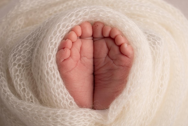 The tiny foot of a newborn Soft feet of a newborn in a white woolen blanket Close up of toes heels and feet of a newborn baby Studio Macro photography Woman39s happiness Concept