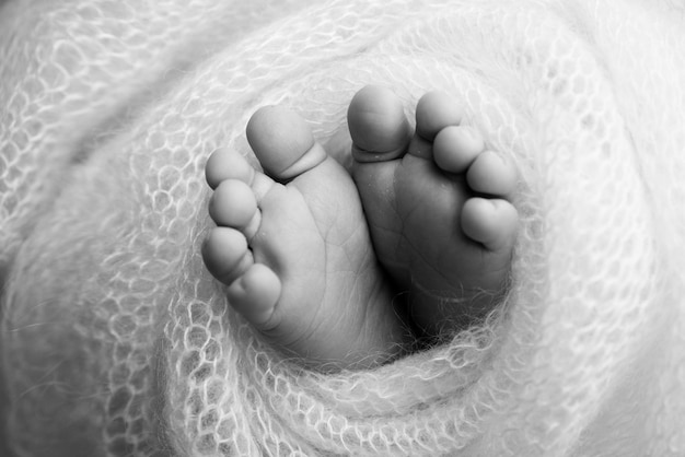 The tiny foot of a newborn Soft feet of a newborn in a woolen blanket Close up of toes heels and feet of a newborn baby Studio Macro black and white photography Woman39s happiness