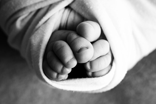 The tiny foot of a newborn Soft feet of a newborn in a woolen blanket Close up of toes heels and feet of a newborn baby Studio Macro black and white photography Woman39s happiness