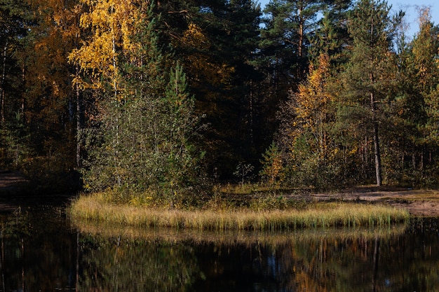 Tiny island in the middle of the pond in early autumn forest