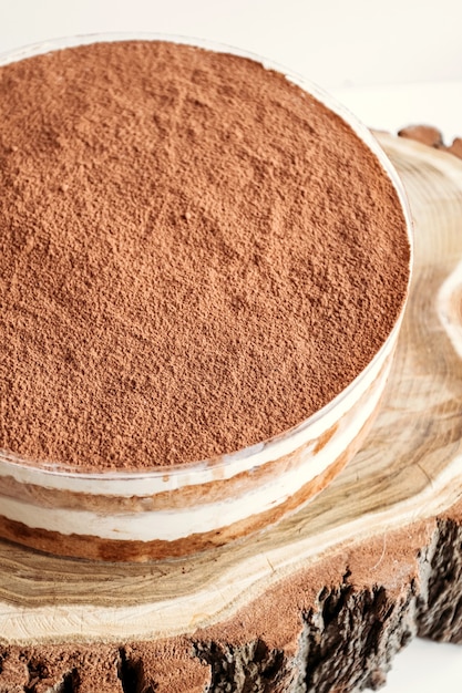 Tiramisu cake with cocoa powder